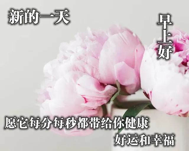 3月15日周二唯美早上好问候语图片，正能量语句，天天开心