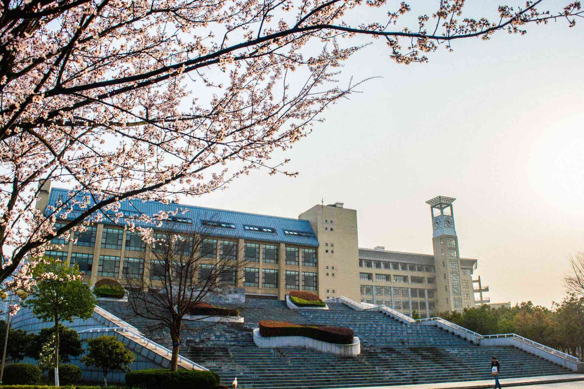 最低统考成绩220分左右文化成绩400分上下，超值捡漏武汉科技大学