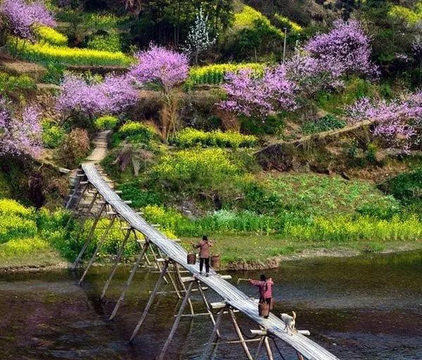 春天来了，去户外踏春旅行；不知道露营帐篷怎么选择的朋友看过来