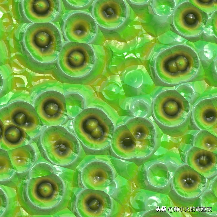 奇妙的微观世界：走进显微镜下45个令人难以置信的物体