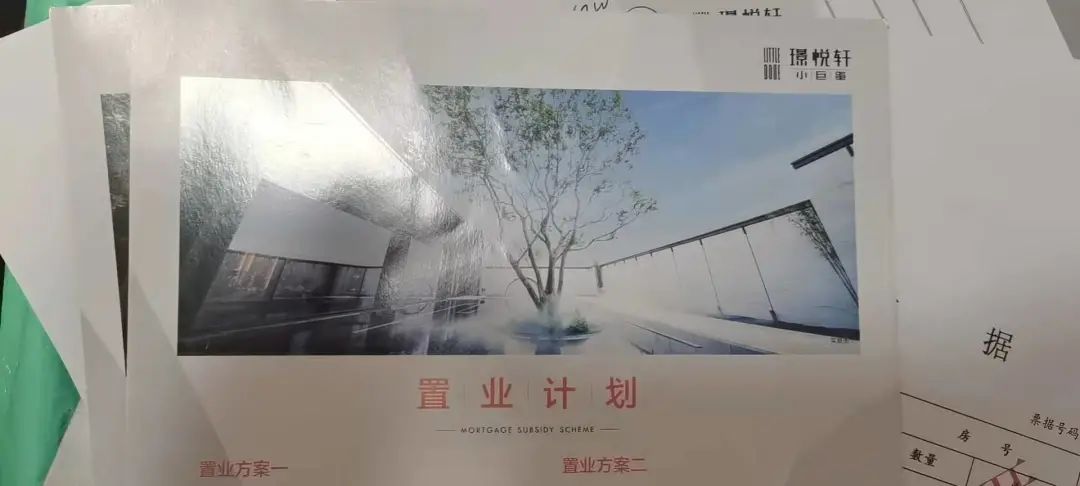 深圳楼市315：一边抢着打新一边忙着维权