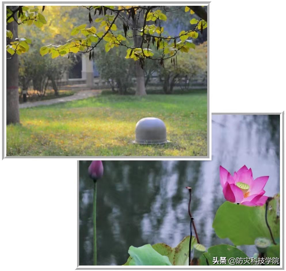 倒计时100天｜致每个“时态”的高考