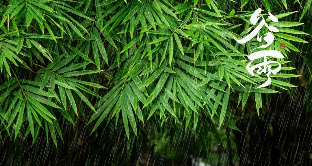 每一场雨，都有一个好听的名字