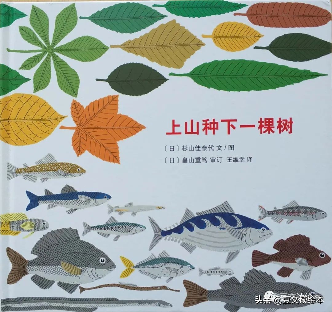 是根据日本海边养殖牡蛎的渔民上山种树的真实事情写就的绘本