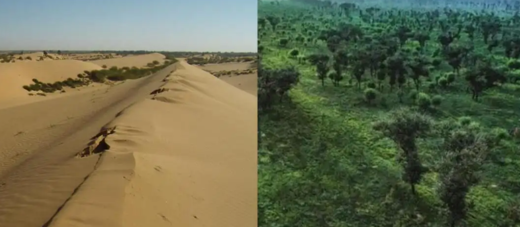 美科学家发现地球正“变绿”，原因在中印，专家却对印度很担忧？