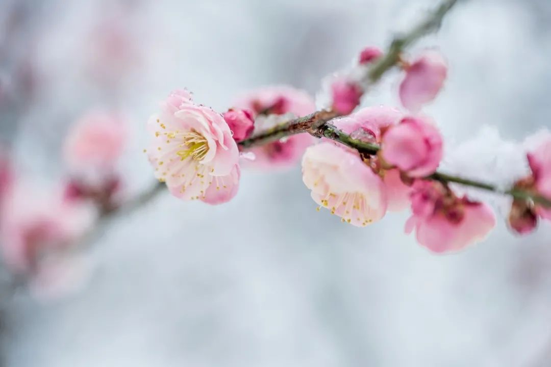 全能挂机组合 尼康Z 7Ⅱ+Z 24-120mm f/4 S试用体会