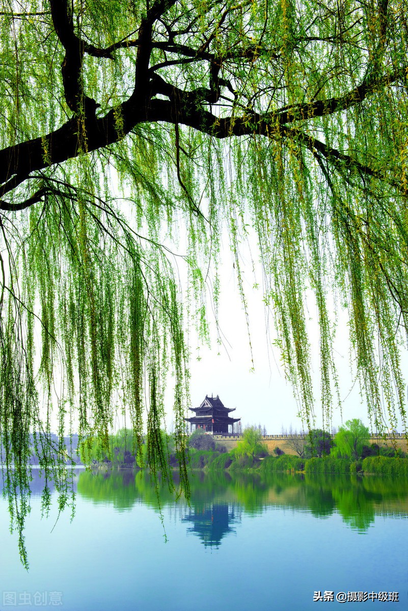 點(diǎn)評(píng)：這3張照片，犯了5個(gè)拍照忌諱，攝影新手引以為戒