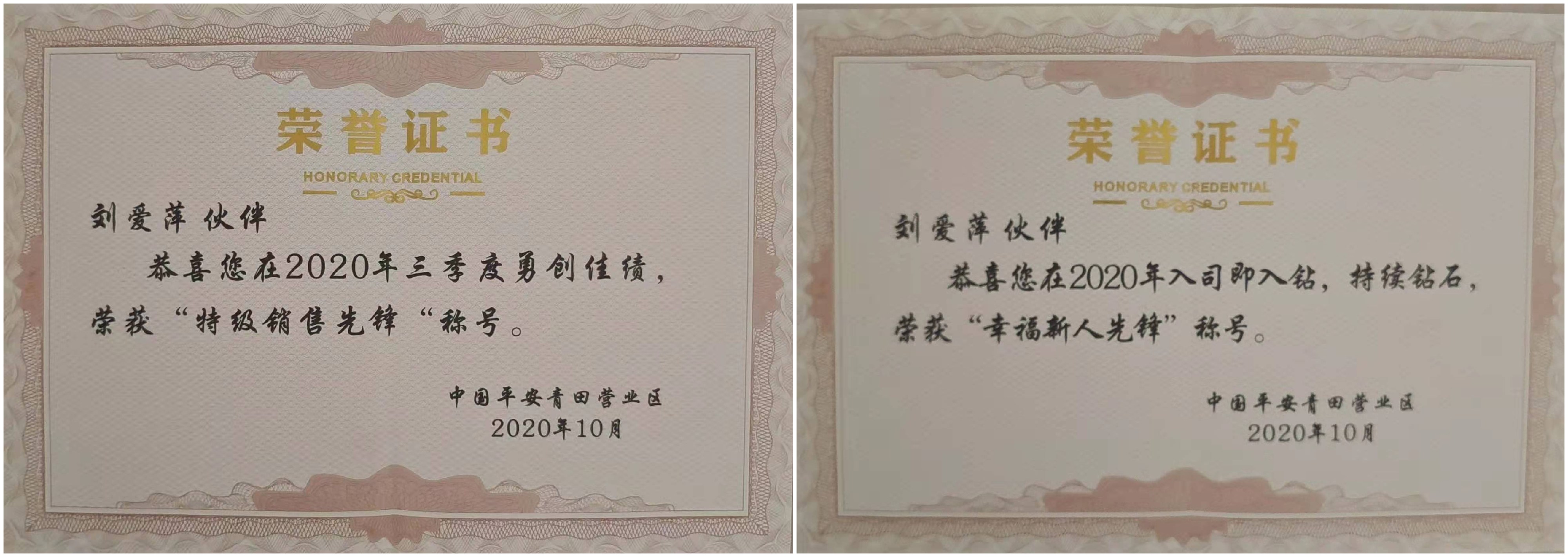 浙江中国平安人寿保险刘爱萍——成功是优点的积累