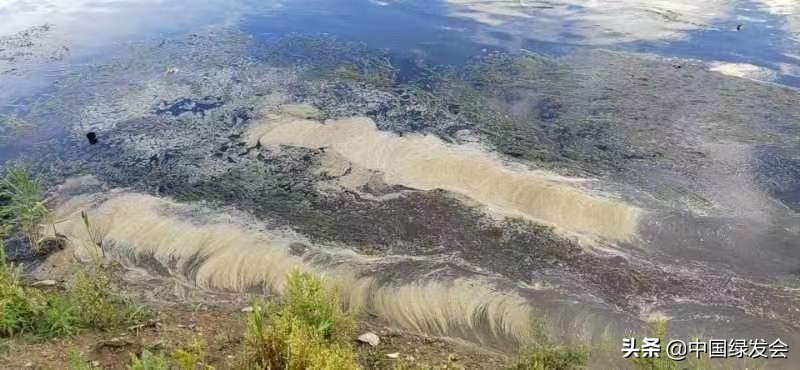 污水偷排水库？呼吁有关部门重视水质监测｜北京沙河湿地公园建设