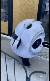 冰墩墩名场面可爱集