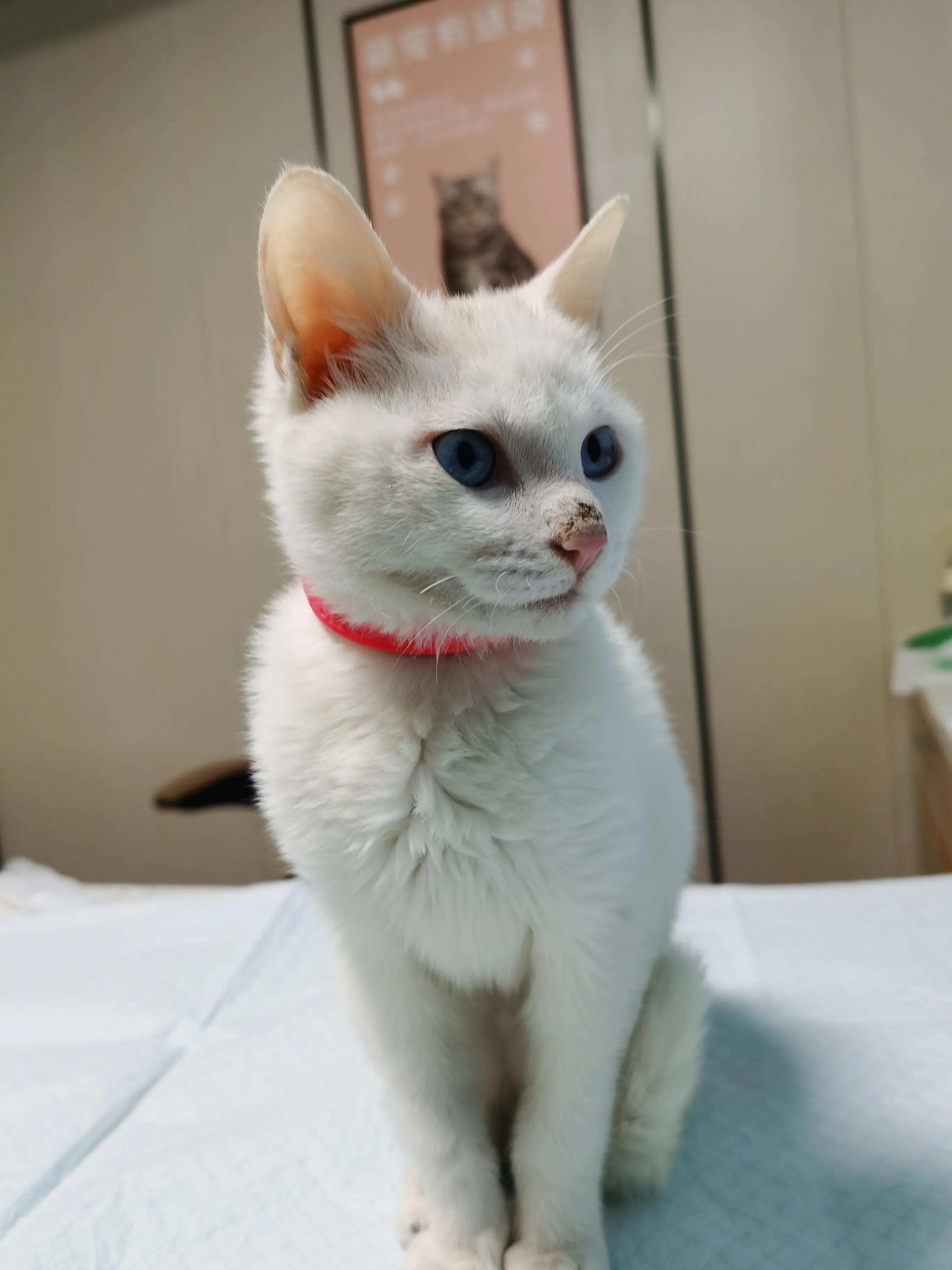 长大后才发现难忘的事不一定是快乐的，很可能充满了无奈