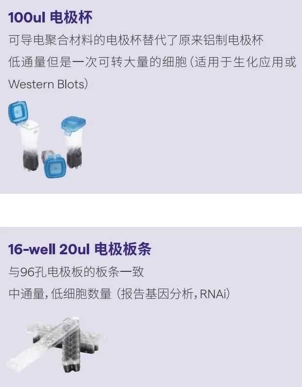 4D Nucleofector 助力原代细胞基因编辑，电转条件简化，转染效率高