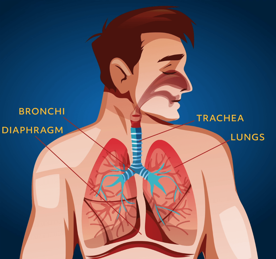 美国科学院公布睾丸上有味蕾？国外网友争相实验，用酱油泡“蛋”