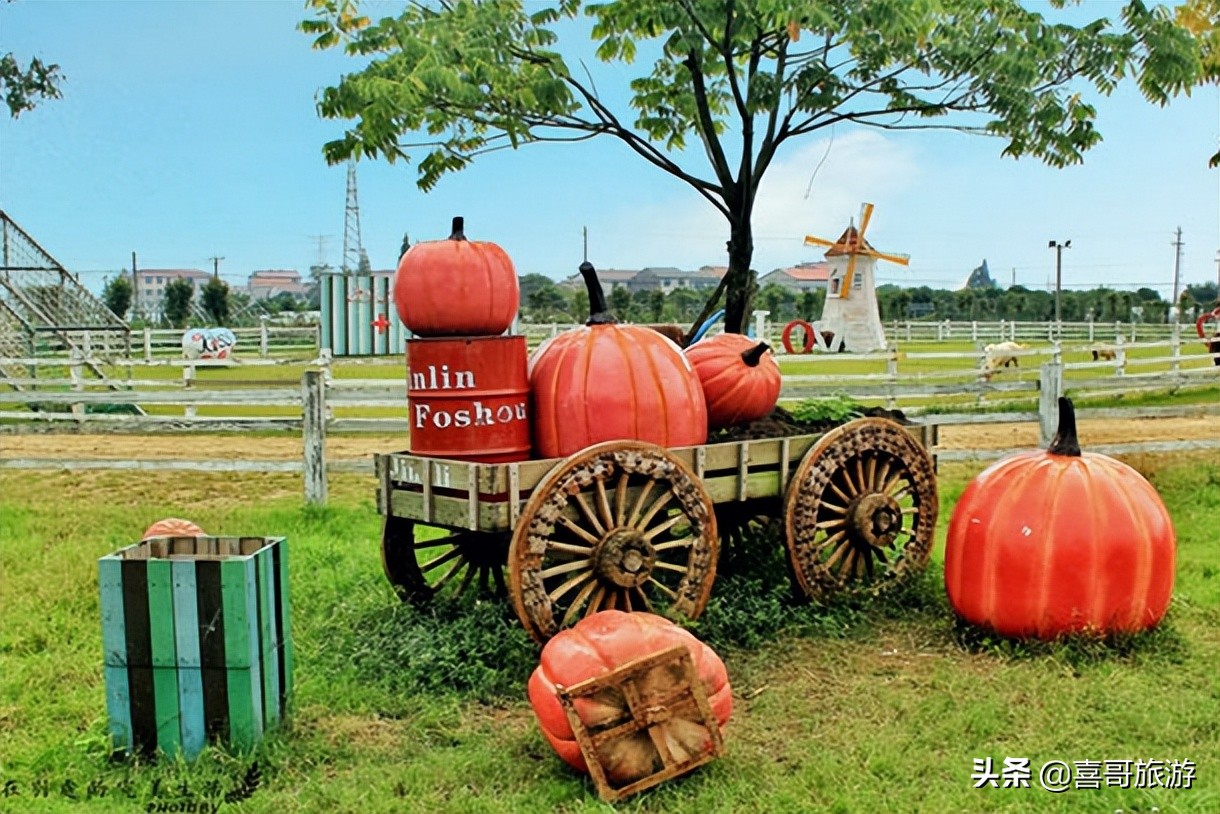 金东区旅游景点有哪些图片