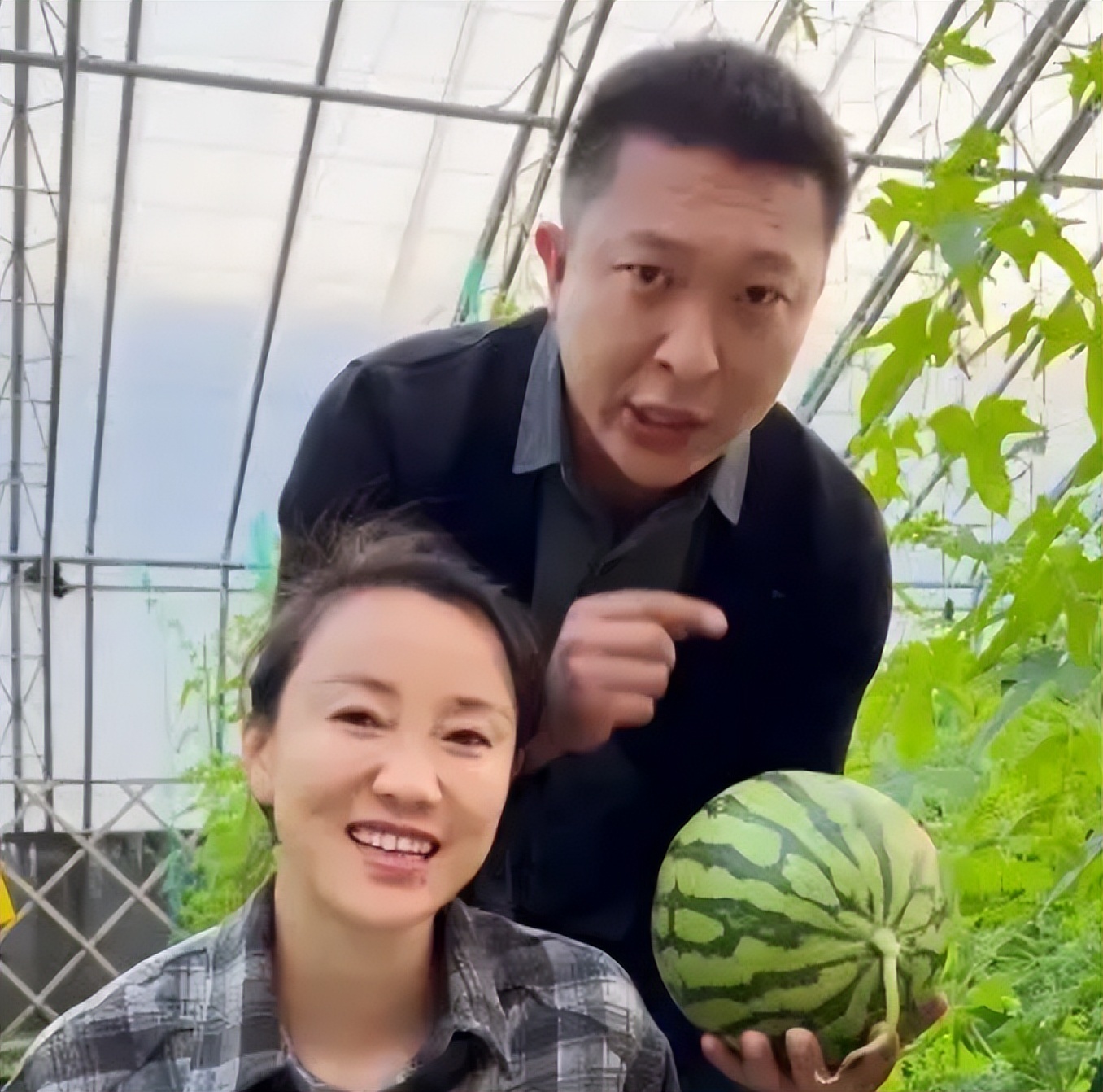 80后山东夫妻，放弃5万月薪，回村种菜，一天卖了120万，凭啥？