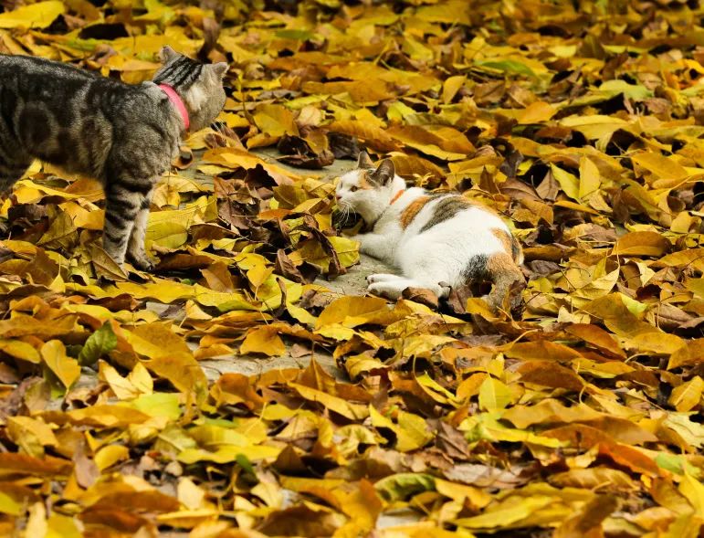 重大的春天，就是不一样