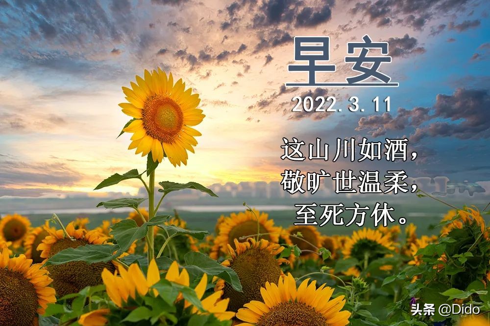 3.11周五早安，每天醒来的第一件事就是，想睡觉。快起来营业啦