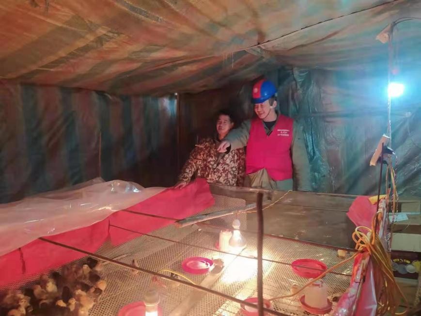 国网浠水县供电公司寒夜为鸡苗孵化厂送发电机