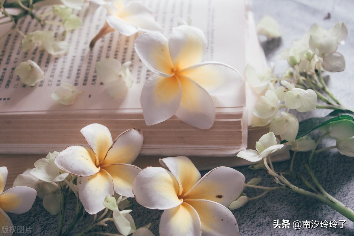 电影《人生大事》：敢于直面死亡，是我喝过最顶级的鸡汤