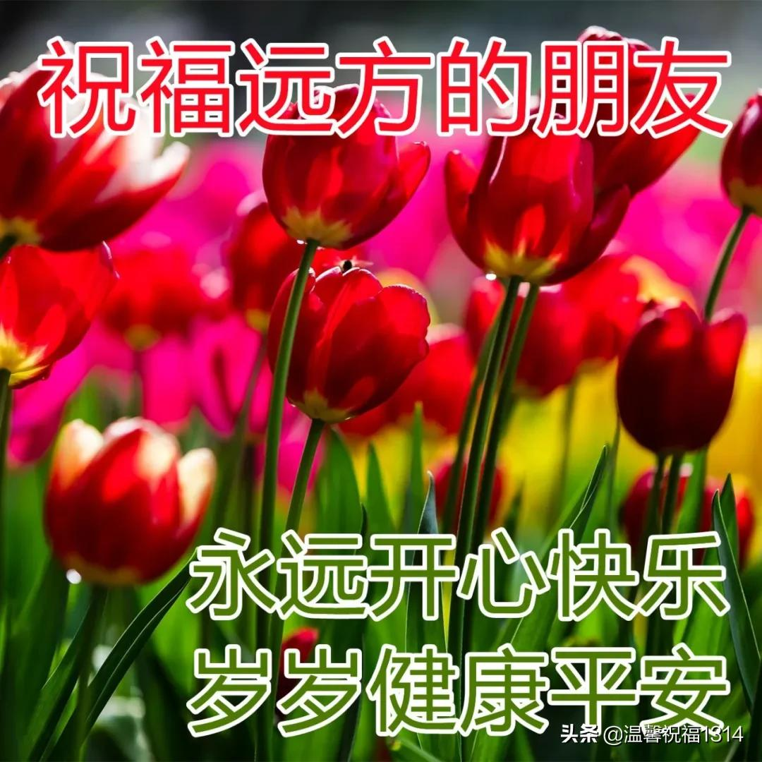 1月30日最美早上好问候图片，腊月廿八早安心语正能量