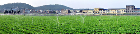 2021年云南省农田灌溉节水9000多万立方米