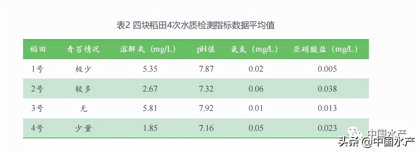 稻田等淺水養(yǎng)殖環(huán)境高效增氧技術(shù)探索實(shí)踐