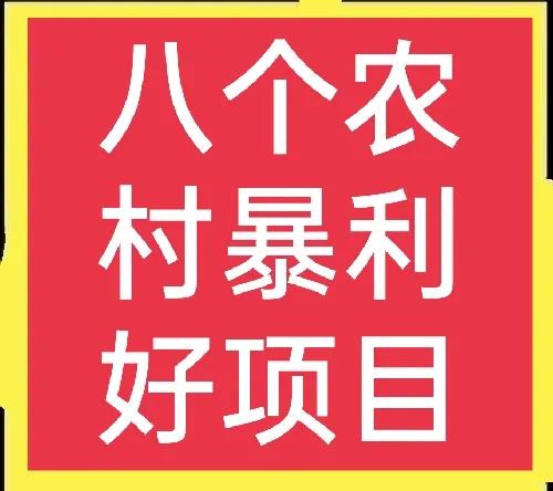 「芦丁农村」农村投资项目有哪些（农村投资的8大项目）