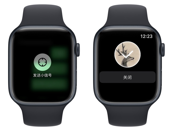 苹果手表有什么功能（apple watch功能详解）-第35张图片