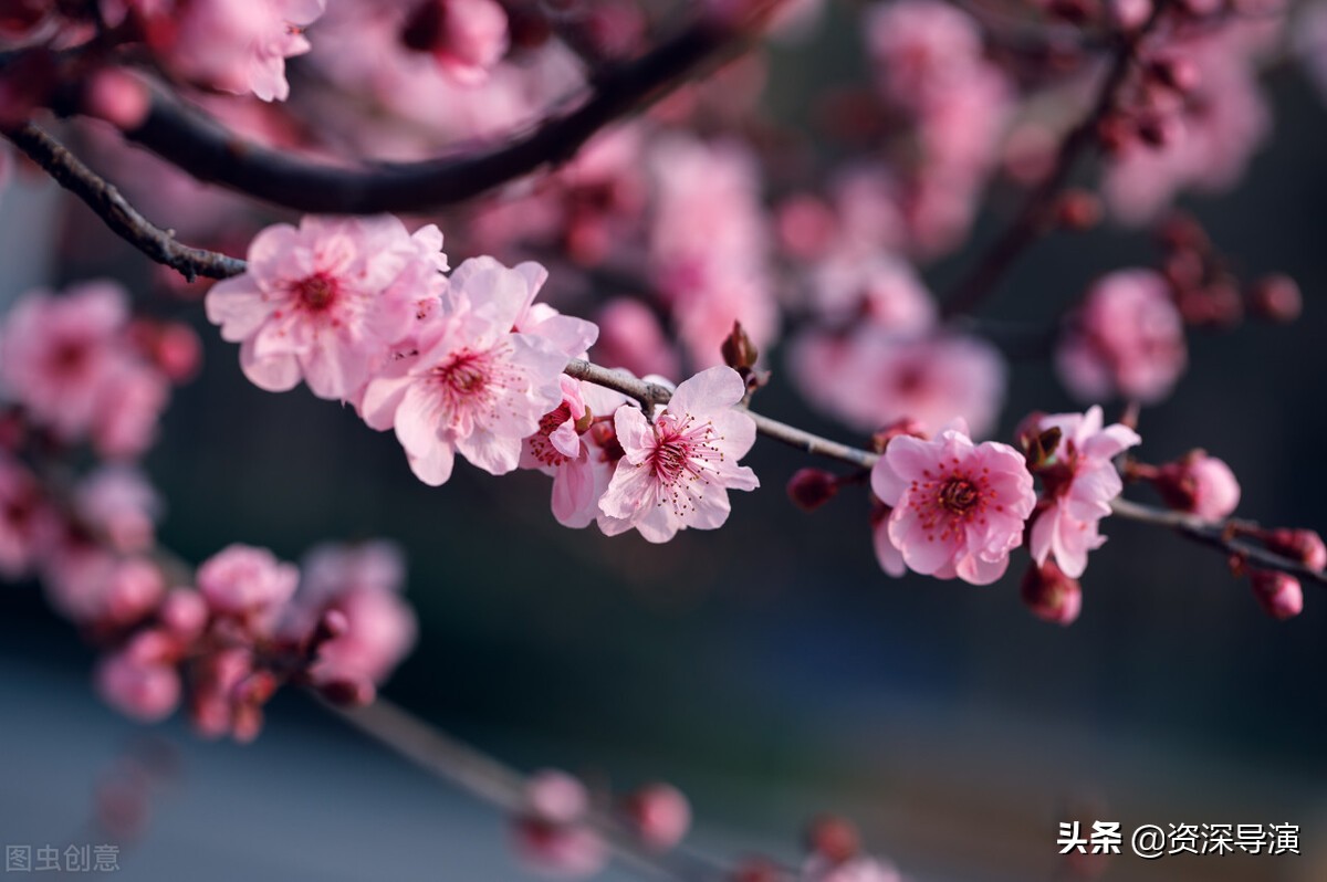 如何成为一名影视导演