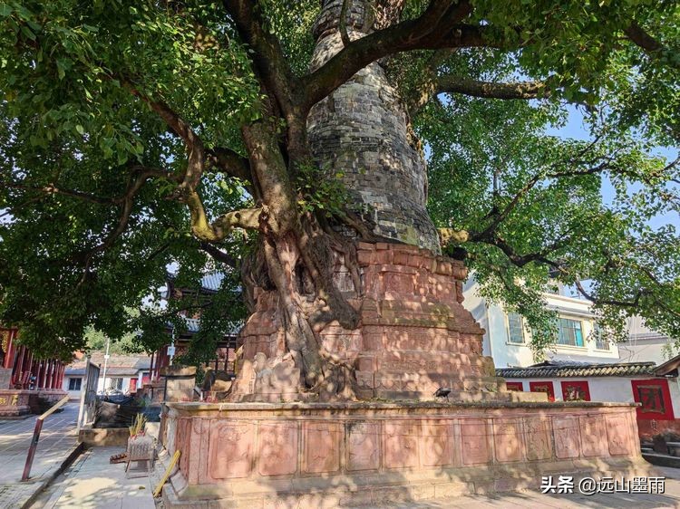 云南省普洱市景谷县,云南省普洱市景谷县永平镇邮政编码