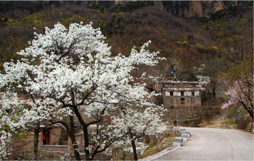 阳春三月春风暖，踏春太行大峡谷游玩正当时