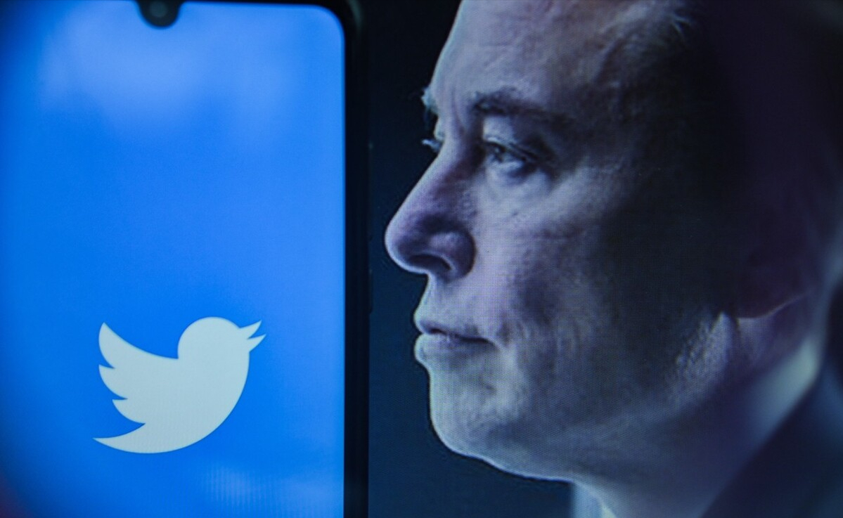 864平豪华餐厅，支持虚拟币支付？马斯克又开始了，韭菜请注意