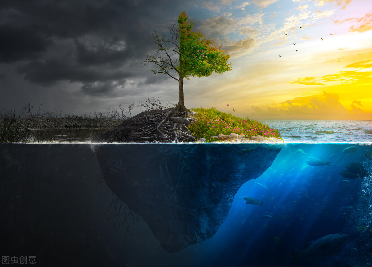 茅塞顿开：人是什么和人从哪里来？人类从此再不误解自己