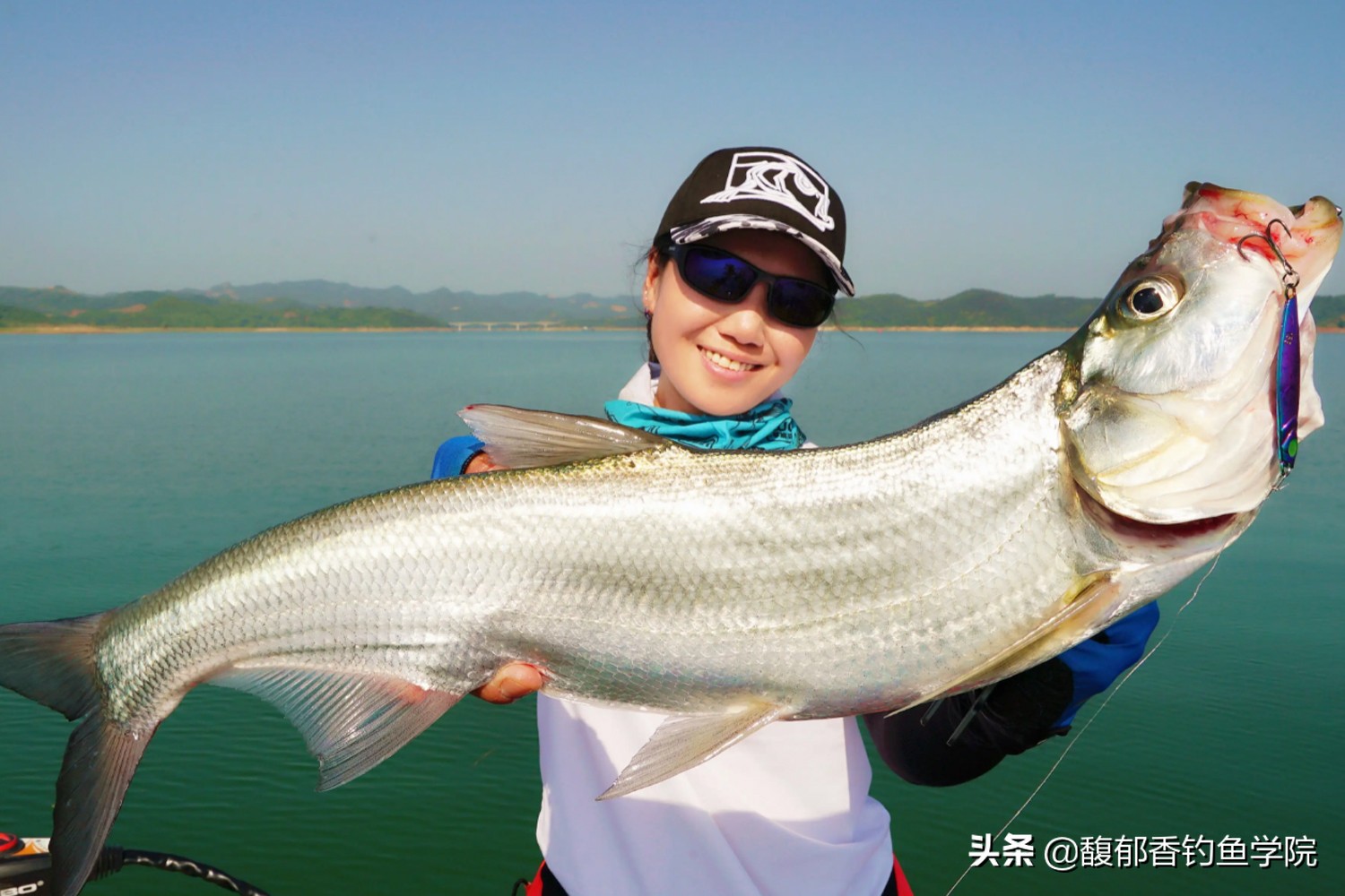 钓翘嘴鱼的最佳饵料(掌握钓翘嘴用饵的绝招之后连续中鱼)