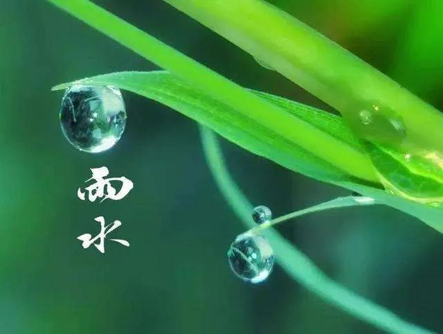 正月十九雨水节气，遇晴天是什么征兆，看看农谚怎么说