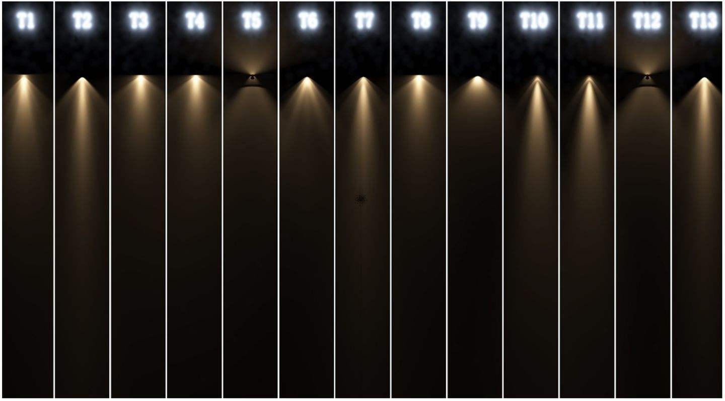 奉献2000个光域网下载，含13类效果图必备（1个硬币=坐摇摇车）