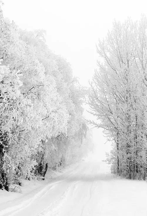 描写雪的诗词，意境优美，哪一种会让你欢喜