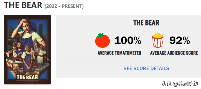 烂番茄100%，这部全网好评的新剧咋还不火？