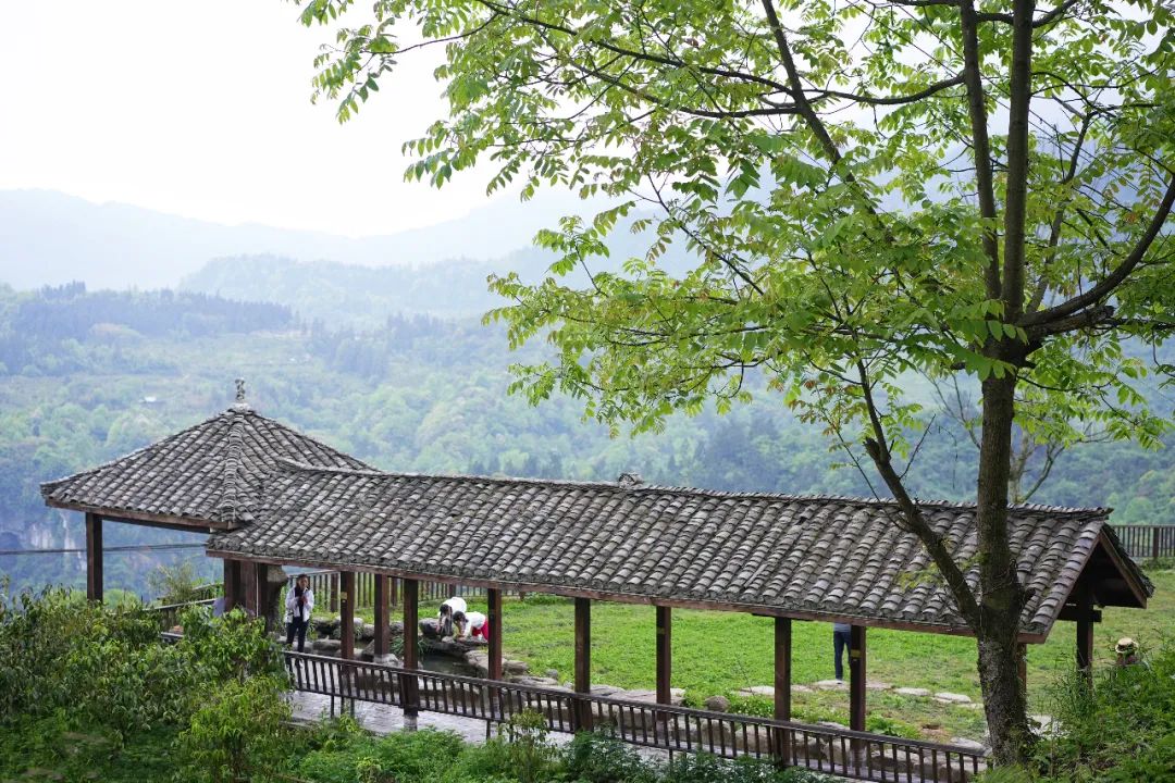 全程景点无门票！重庆这条178公里自驾公路，自驾爱好者必打卡！