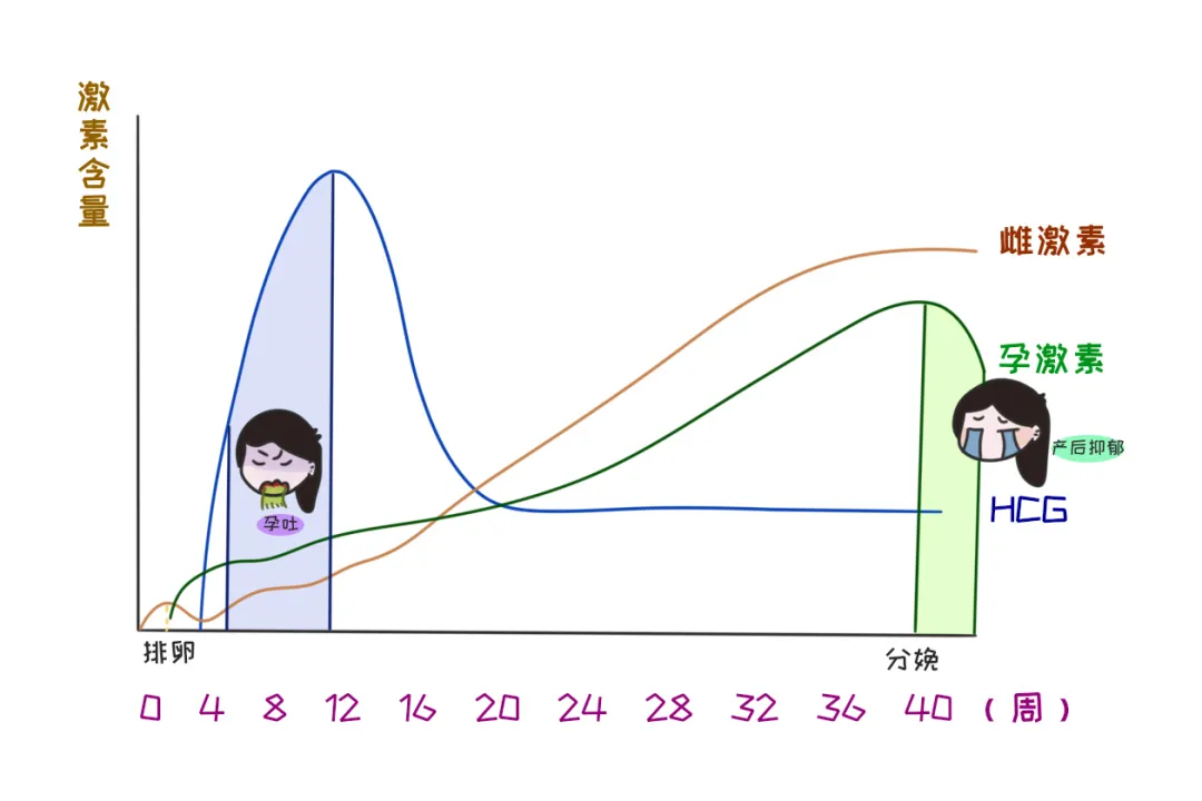 孕期经验分享NO.1(孕早期反应及对策篇)