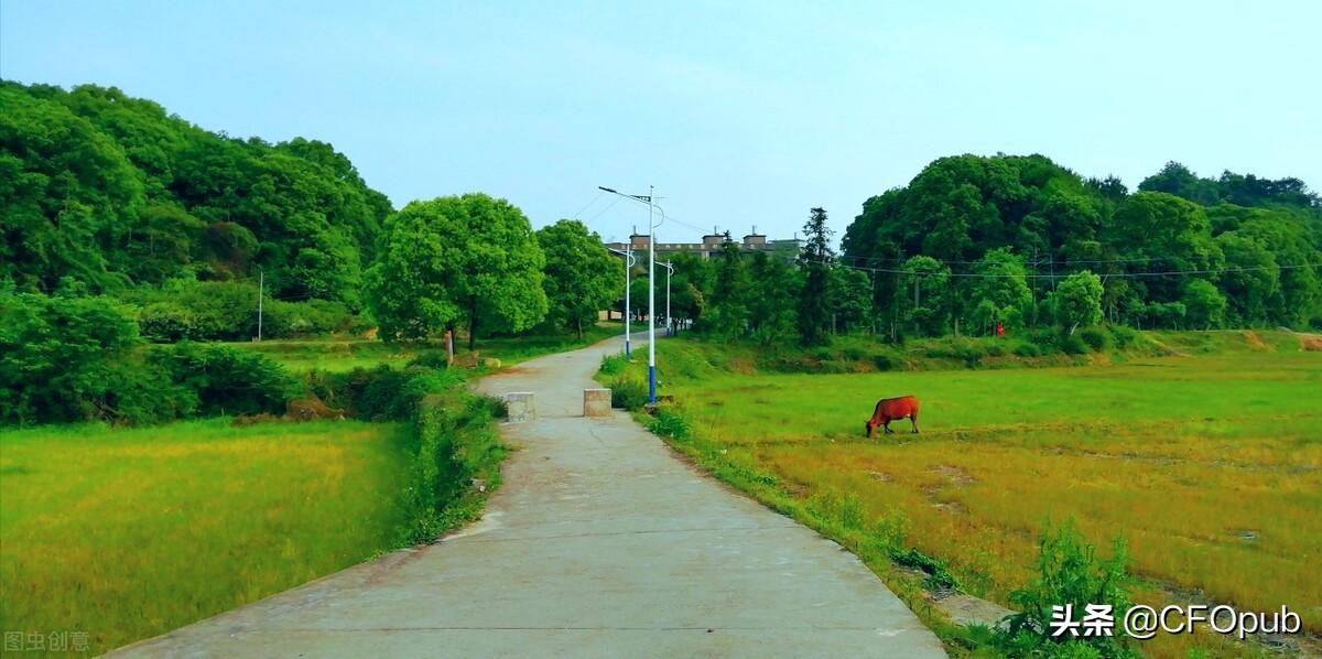 盈余公积和未分配利润