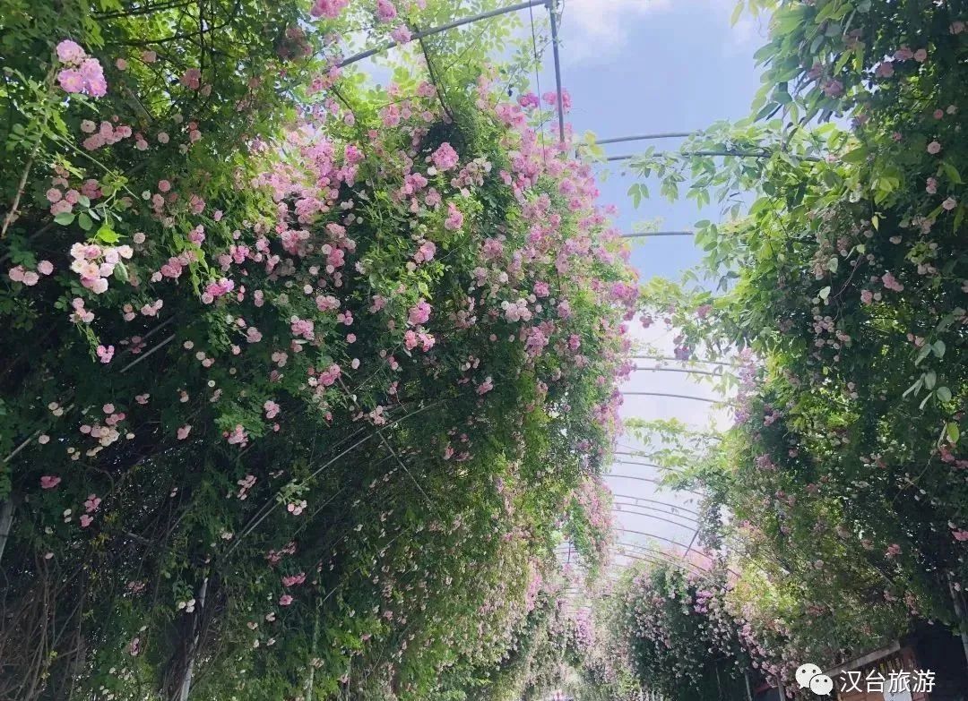 這是什么神仙地方??？漢中這個(gè)寶藏地出圈又出片！