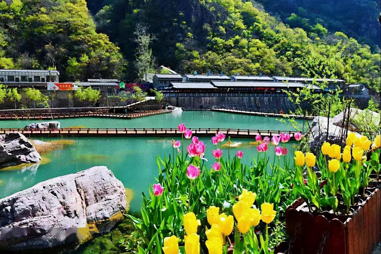 河南这4个景美口碑好的旅游地，春色渐浓，你还要再错过吗？