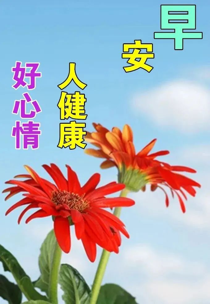 「2022.04.23」早安心语，世界读书日努力奋斗句子 早上好问候图片