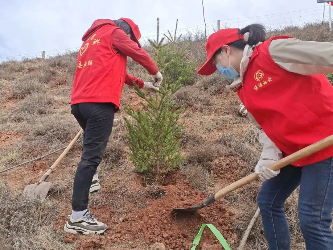 临潭县各乡镇各部门拉开春季义务植树序幕