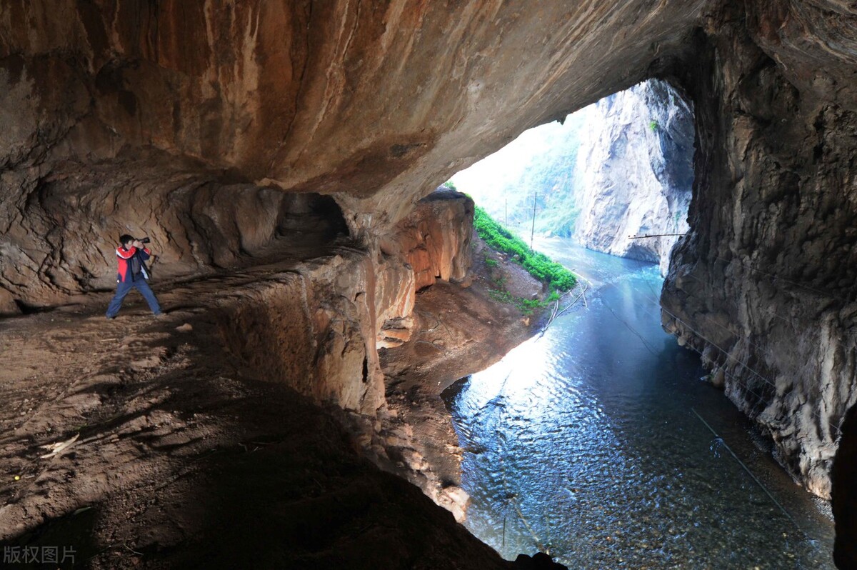 2008年,贵州牂牁江出现神秘"水怪",疑是体长12米的大鱼?