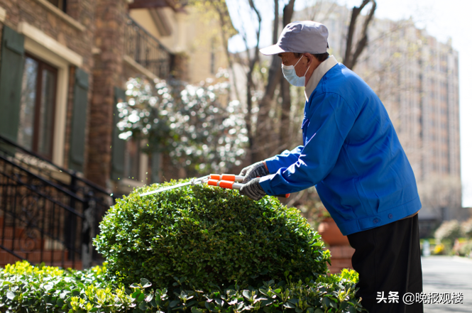 龙湖的这堂园林养护课 让春季来的更早一些