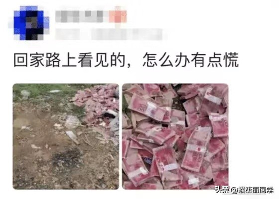 “回家的路上看见的，我现在很慌，该怎么办啊？”哈哈哈