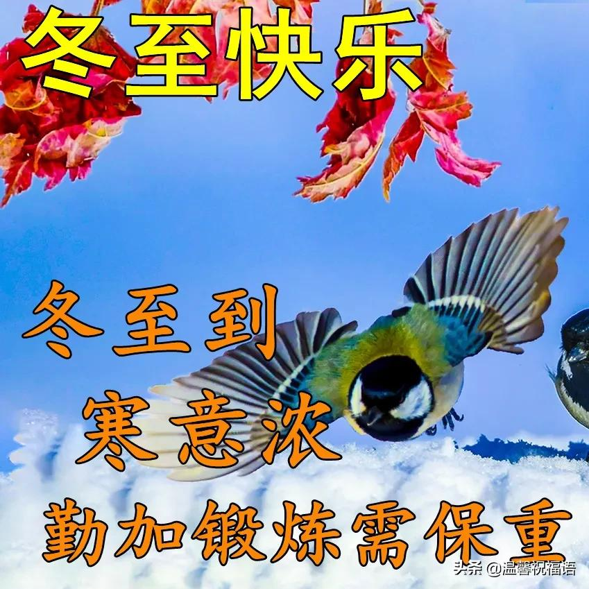 12月21日早上好祝福语图片 今日冬至愿你冬至快乐安好幸福到永远