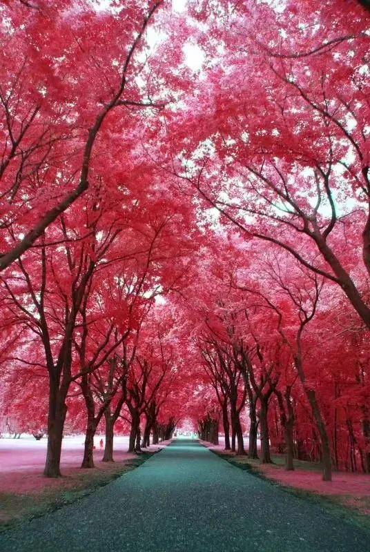 早安人生隽语，美好的一天始于美好的心态，庆祝每一次胜利